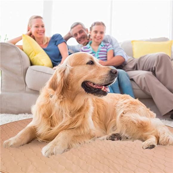 Reusable Dog Pee Pads for Dogs, Round Dog & Puppy Training Pad, 48-In - Picture 2 of 6